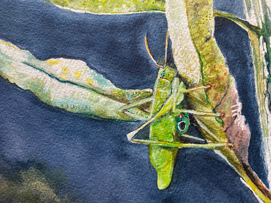 Print•Leaf Bug